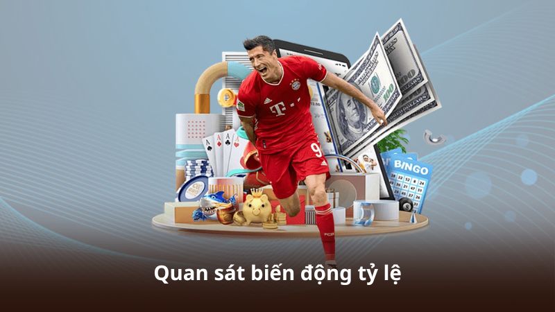 Quan sát biến động tỷ lệ